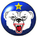 U.S. Army Alaska logo